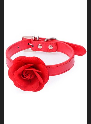 Чокер Red Rose Collar